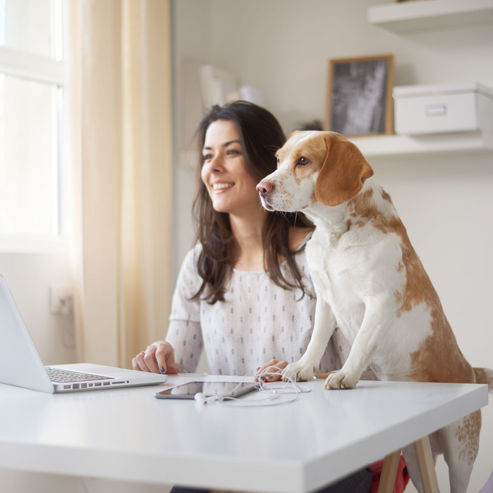 Businesswoman looking through window with her dog in home office